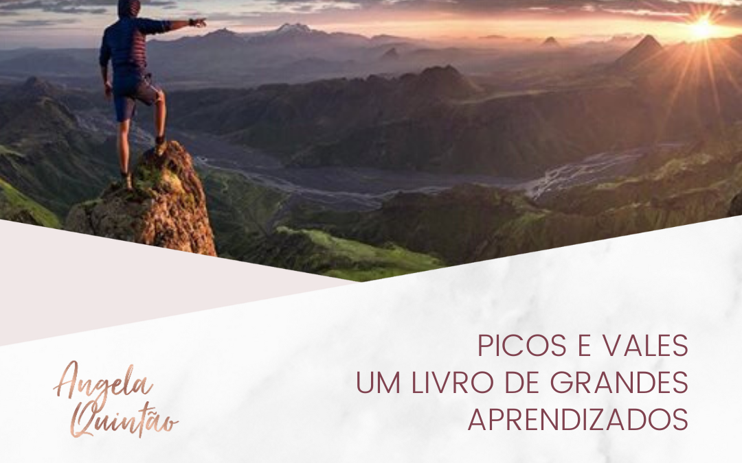 PICOS E VALES: UM LIVRO DE GRANDES APRENDIZADOS